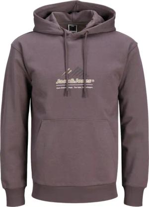Jack & Jones Kapuzensweatshirt "JCOLIMA LOGO SWEAT HOOD BF"