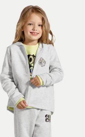Coccodrillo Sweatshirt ZC4132601CGK Grau Relaxed Fit