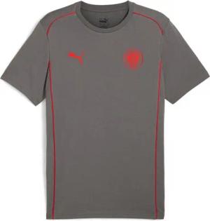 PUMA Trainingsshirt FCSP CASUALS TEE FC St. Pauli Fansshirt 2024/2025