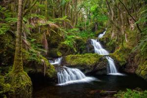 Papermoon Fototapete "WASSERFALL-MAGISCHER WALD BÄUME FLUSS SEE STEINE BLUMEN"