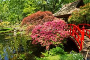 Papermoon Fototapete "GARTEN-BLUMEN BÄUME PFLANZEN STEINE WALD PARK BLÜTEN"