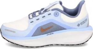 Nike Winflo 11 GORE-TEX