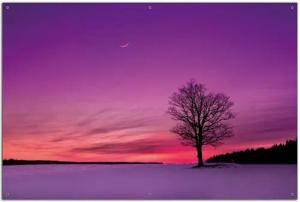 Wallario Sichtschutzzaunmatten Mond und Baum am Abend bei Schnee