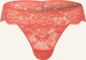 mey Slip Serie ORGANIC COTTON