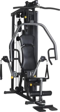 Horizon Fitness Kraftstation "Torus 3", 1 Gewichtsblöcke, (Kabelzug, Multipresse und mehr), multifunktionale Fitnessstation, max. Trainingsgewicht 80 kg