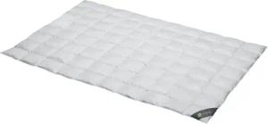 SPESSARTTRAUM Daunenbettdecke "Wildente Bettdecken 135x200cm & weitere Größen", extraleicht, Füllung 100% Daunen, Bezug 100% Baumwolle, (1 St.), Bettdecken Ganzjahresbettdecke, Winter, Sommer