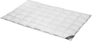 SPESSARTTRAUM Daunenbettdecke "Wildente Bettdecken 135x200cm & weitere Größen", leicht, Füllung 100% Daunen, Bezug 100% Baumwolle, (1 St.), Bettdecken Ganzjahresbettdecke, Winter, Sommer