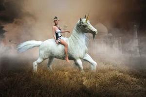 Papermoon Fototapete "Einhorn Fantasy Elf"
