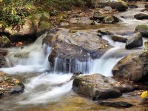Papermoon Fototapete "WASSERFALL-BÄUME FLUSS SEE STEINE BLUME WALD BACH SONNE"