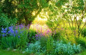 Papermoon Fototapete "GARTEN-BLUMEN BÄUME PFLANZEN PARK STEINE BLÜTEN WALD"