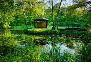 Papermoon Fototapete "GARTEN-BLUMEN BÄUME PFLANZEN PARK STEINE BLÜTEN WALD"