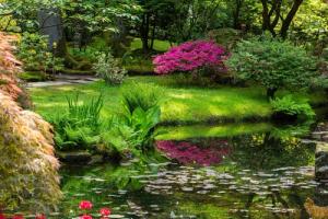 Papermoon Fototapete "GARTEN-BLUMEN BÄUME PFLANZEN STEINE WALD PARK BLÜTEN"
