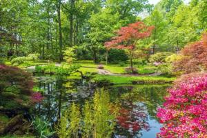 Papermoon Fototapete "GARTEN-BLUMEN BÄUME PFLANZEN STEINE WALD PARK BLÜTEN"