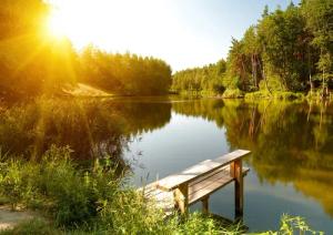 Papermoon Fototapete "Summer Forest Lake"