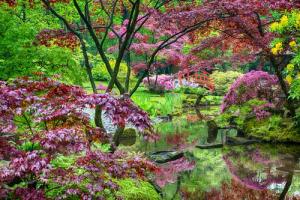 Papermoon Fototapete "GARTEN-BLUMEN BÄUME PFLANZEN PARK STEINE BLÜTEN WALD"