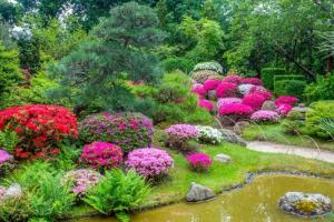 Papermoon Fototapete "GARTEN-BLUMEN BÄUME PFLANZEN STEINE WALD PARK BLÜTEN"