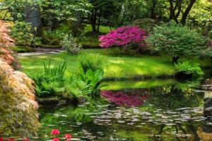 Papermoon Fototapete "GARTEN-BLUMEN BÄUME PFLANZEN STEINE WALD PARK BLÜTEN"