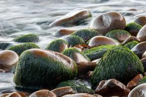 Papermoon Fototapete "Steine im Wasser"