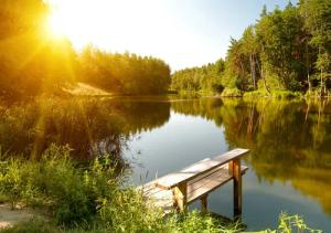 Papermoon Fototapete "Summer Forest Lake"