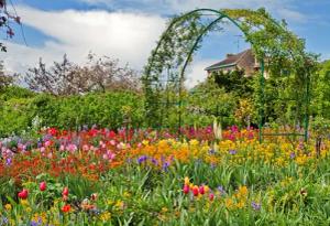 Papermoon Fototapete "GARTEN MONET-BLUMEN BÄUME PFLANZEN PARK STEINE BLÜTEN"