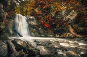 Papermoon Fototapete "WASSERFALL-HERBST WALD MEER FLUSS INSEL STEINE BÄUME"