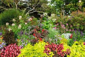Papermoon Fototapete "GARTEN-BÄUME BLUMEN PFLANZEN PARK STEINE WALD BLÜTEN"