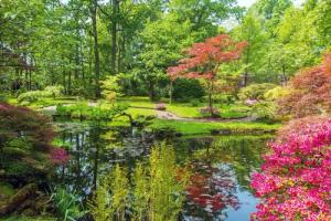 Papermoon Fototapete "GARTEN-BLUMEN BÄUME PFLANZEN STEINE WALD PARK BLÜTEN"