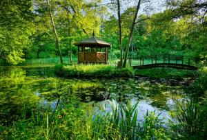 Papermoon Fototapete "GARTEN-BLUMEN BÄUME PFLANZEN PARK STEINE BLÜTEN WALD"