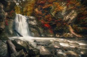 Papermoon Fototapete "WASSERFALL-HERBST WALD MEER FLUSS INSEL STEINE BÄUME"