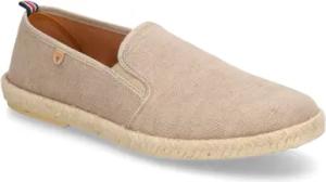 Verbenas TROY PACIFIC