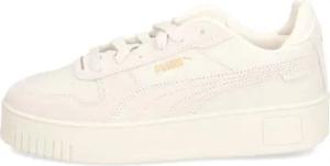 Puma Carina Street SD