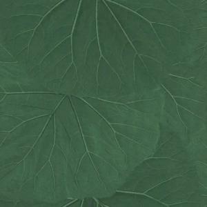 Rasch TEXTIL Vliestapete Rasch Textil Jungle Fever WWW. 138996 Grün