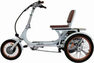 ElektroBest.de E-Bike Orthopädisches Dreirad Therapeutisches E-Dreirad KiKi Alu Klapprad Rückwardagang Differential, 21 Gang, Elektromotor, Orthopädisches Dreirad