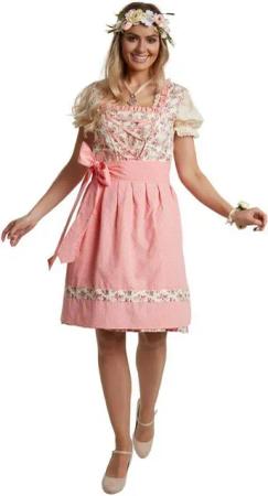 dressforfun Dirndl Frauenkostüm Mini-Dirndl Herrenchiemsee Modell 2