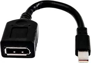 HP mini  Mini-DisplayPort/DisplayPort Adapter
