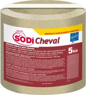 Salzleckstein Additive Pferd/Pony 5 kg