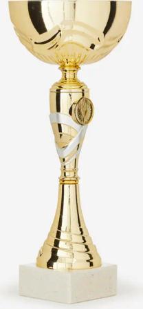 Pokal C519 29 cm gold