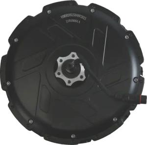 Motor 48 V 250 W Nennleistung 685 W Spitzenleistung für Cargobike R500E Longtail