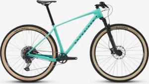 Mountainbike Cross Country 29 Zoll Carbonrahmen Reba Race 740 grün