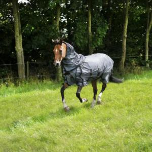 Gebraucht - Fliegendecke Pferd/Pony - Comfort grau - GUT