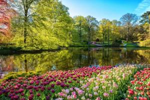Papermoon Fototapete "GARTEN-BLUMEN BÄUME PFLANZEN STEINE WALD PARK BLÜTEN"