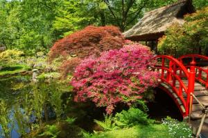 Papermoon Fototapete "GARTEN-BLUMEN BÄUME PFLANZEN STEINE WALD PARK BLÜTEN"