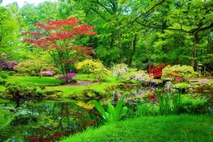 Papermoon Fototapete "GARTEN-BLUMEN BÄUME PFLANZEN STEINE WALD PARK BLÜTEN"