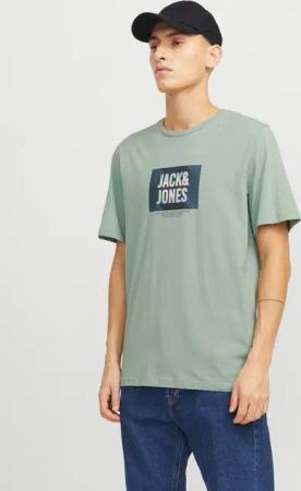 Jack & Jones Print-Shirt JJHUDSON TEE SS CREW NECK