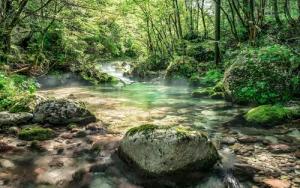 Komar Fototapete Tranquil Pool B/L: ca. 400x250 cm