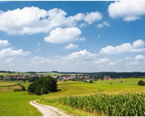 Komar Fototapete Bayrische Idylle B/L: ca. 350x280 cm