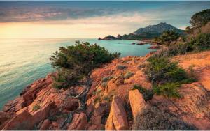 Komar Fototapete Paradiso II B/L: ca. 450x280 cm