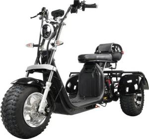 DOTMALL Elektromobil eHoodax 05WQ Maximale Last 250KG 18 Zoll Fat Elektroroller 2000W Motor