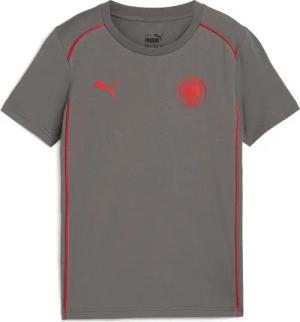 PUMA Trainingsshirt "FCSP CASUALS TEE JR", FC St. Pauli Fansshirt 2024/2025 Kinder