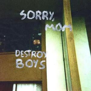 Sorry, Mom von Destroy Boys - LP (Standard)